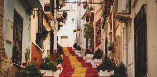 Will Reading ‘Opposing Reviews’ of His Films: ‘Did They Even Look at the Same Movie?’