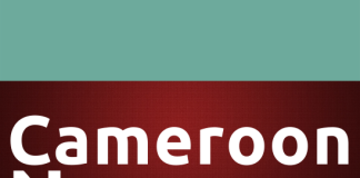 Bryan Mbeumo: Manchester United’s Bold Summer Move